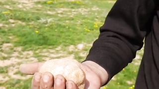 Jewels In The Sand | Truffles Hunting | Saudi Mashroom Faga