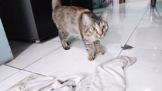I don't wanna play