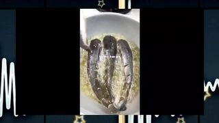 Indonesian catfish pecel