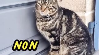 Tu paies combien ton loyer ?