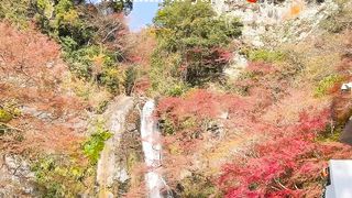 Japan 9