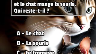 enigmes quiz devinettes