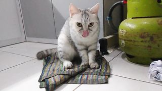 Look at me 6