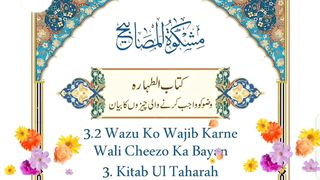 Wazoo Kin Cheezo Say Wajib Hota Hay
