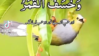 Chand nor hi jay ga