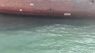 Video 398