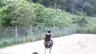 Funny video. Plz subscribe