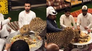 Saudi arabia amazing news