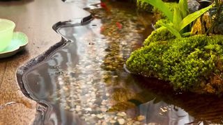 New model home aquarium