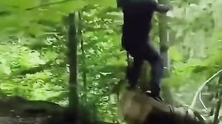 Tree ????????