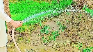 Viral video #enjoyment