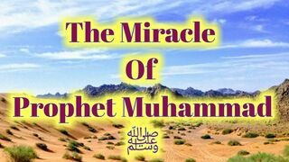 The Miracle Of Prophet Muhammad ﷺ | Sahih Muslim Hadith | English Hadees