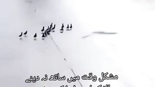 Golden Words 6