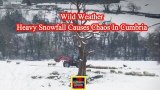 Wild weather: Heavy snowfall causes chaos in Cumbria