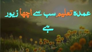 دانا وہ ہے جو کم بولے اور زیادہ سنے