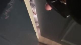 Mon chat est propriétaire