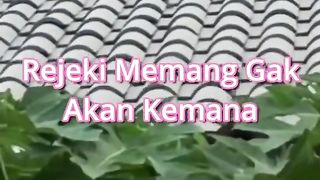 Rejeki tidak kemana