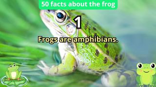 50 Facts about frog