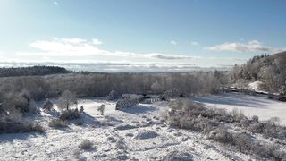 winter-landscape-snow