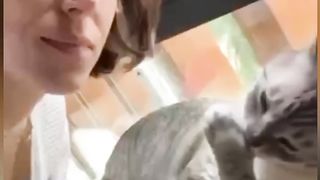 Funny animals . Please ???? subscribe