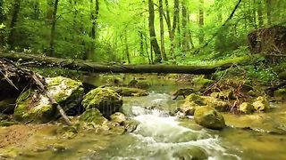 Natures