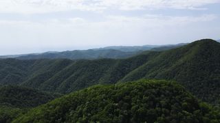 "Nature in Majesty: Captivating Moments in the Most Remote Corners"