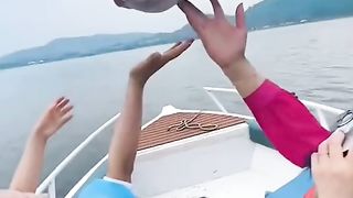 Мир 33