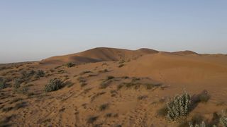 "Balanced Ecosystems: Flourishing Life in Diverse Habitats"