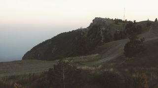 "Enchanting Wilderness: A Cinematic Journey Through Nature's Elegance"