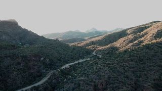 "Into the Wild: Discovering the Untamed Beauty of Nature"