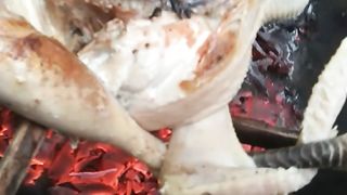 Cara bakar ayam utuh