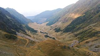 "Whispers of the Wild: A Cinematic Exploration of Nature's Secrets"