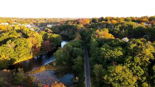 fall-autumn-forest