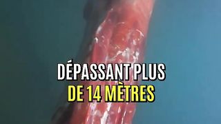 Le monstre des abysses