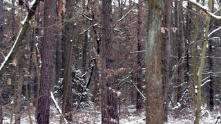 "Nature's Spell: Enchanting Moments in the Great Outdoors"