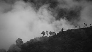 "Eco Odyssey: Exploring the Untamed Beauty of Our Planet"