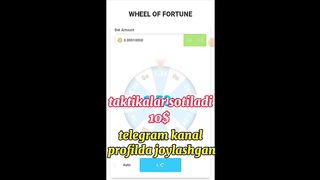 DOGE PICKDA FORTUNE 100%