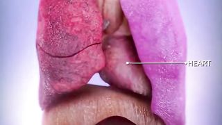 Human respiratory system : Single Cell Animation