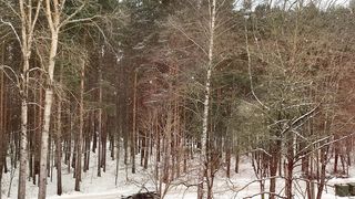 "Earth's Ephemeral Beauty: Moments Frozen in Natural Bliss"