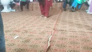 New dance 10