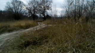 road among the reeds