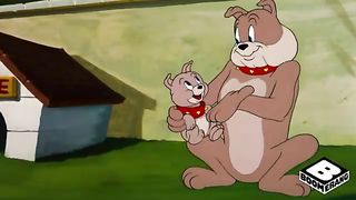 Tom and jerry cartoon 9
