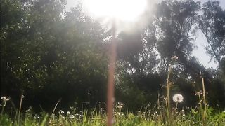 Mobile Photography with Vivo V15 Pro