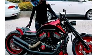 Beauty and beast!! #harley #harleydavidson #moto #viral