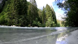 "Enchanting Wilderness: A Visual Odyssey into the Heart of Nature"