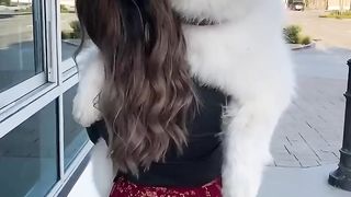 Five years of carrying this pup in fun places! Where should I carry him next_