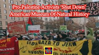 Pro-Palestine activists ‘shut down’ American Museum of Natural History