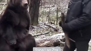 Funny Panda Viral Video 9