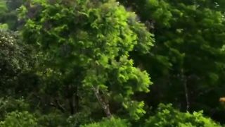Beautiful nature 138