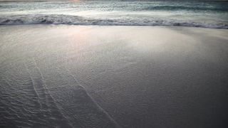 "Untamed Horizons: Discovering the Unexplored Beauty of Nature"